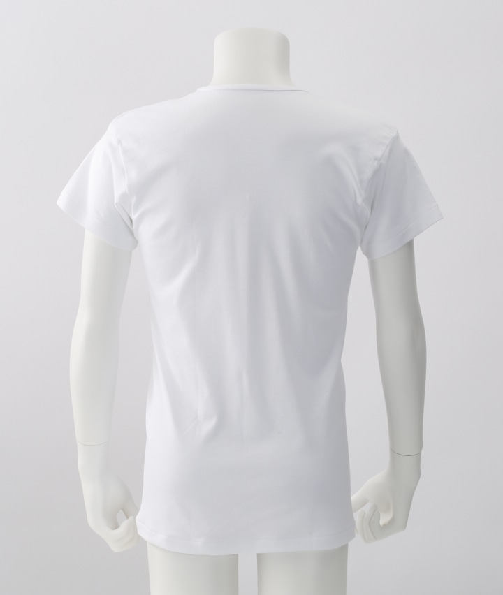 メンズインナー グンゼ ２枚組 綿１００ 抗菌防臭加工 紳士半袖ｖ首肌着 ｓサイズ ホワイト 紳士 パシオス公式ネットショップ パシオスnet