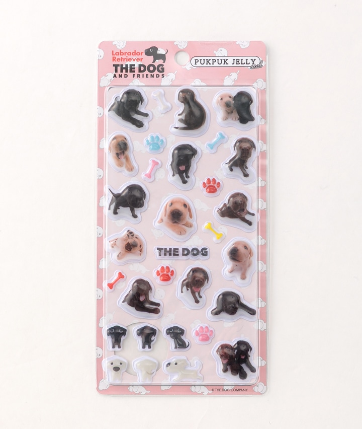 ラブラドールレトリバー