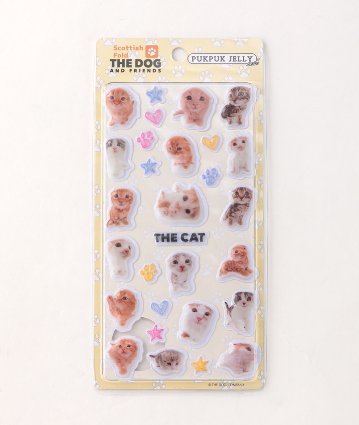 スコティッシュフォールド