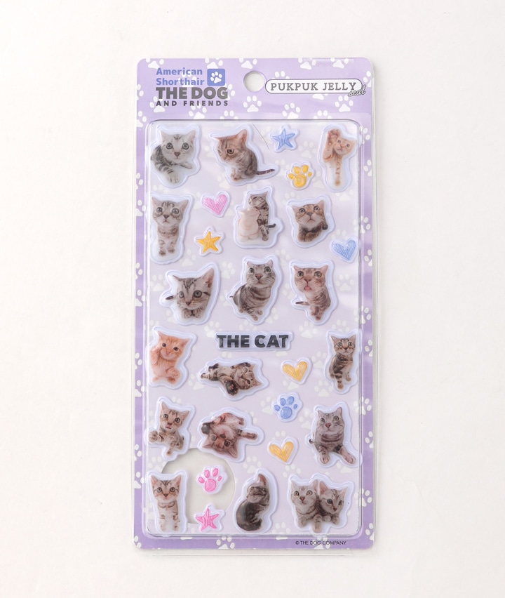 アメリカンショートヘア