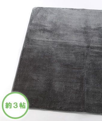 【Ｇｉｎｇｅｒのチカラ】（約３帖用）ソフトタッチ中敷カーペット