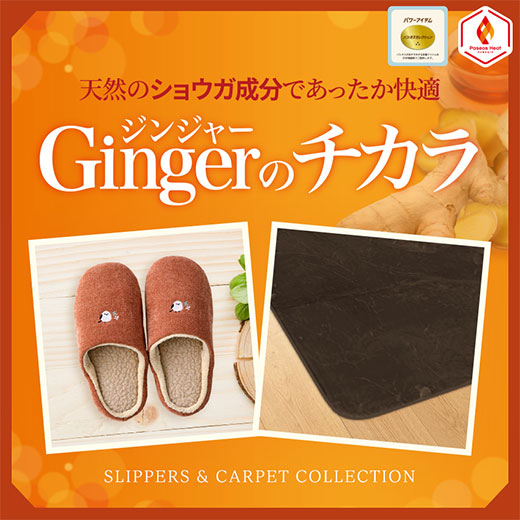 [Gingerのチカラ]リビングアイテム
